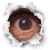 Alta_Mente's Avatar