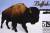 cbuffalo's Avatar