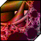 nznrwt's Avatar