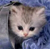 dave8210's Avatar